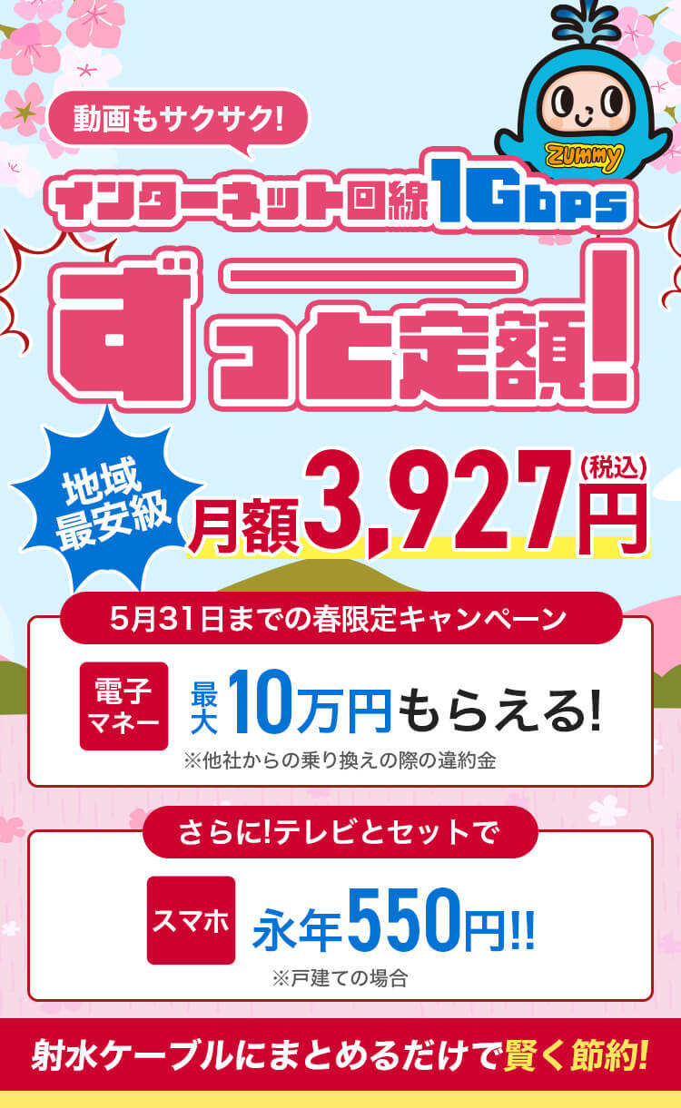 動画もサクサク!インターネット回線1Gbpsずーっと定額!地域最安級月額3,927円(税込)