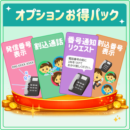 オプションお得パック