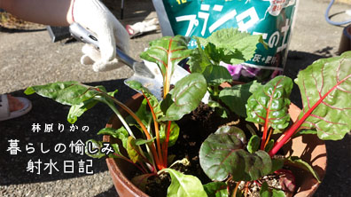 射水市産の培養土で、野菜と花の寄植えに挑戦！